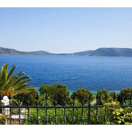 公寓 Alonissos 5 Steps Away From The Sea