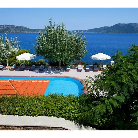 公寓 Alonissos 5 Steps Away From The Sea