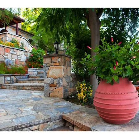 Alonissos 5 Steps Away From The Sea *