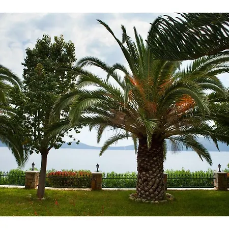 Alonissos 5 Steps Away From The Sea * Kalamakia