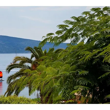 公寓 Alonissos 5 Steps Away From The Sea